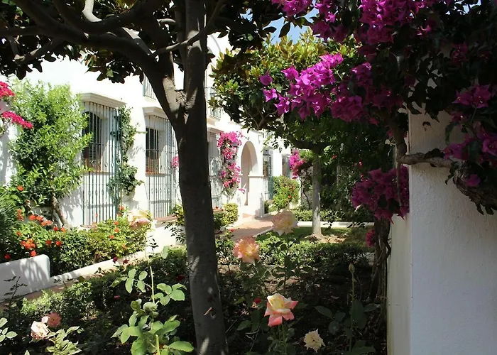 - Playa - Estudio Cerca Del Mar Pi36 *